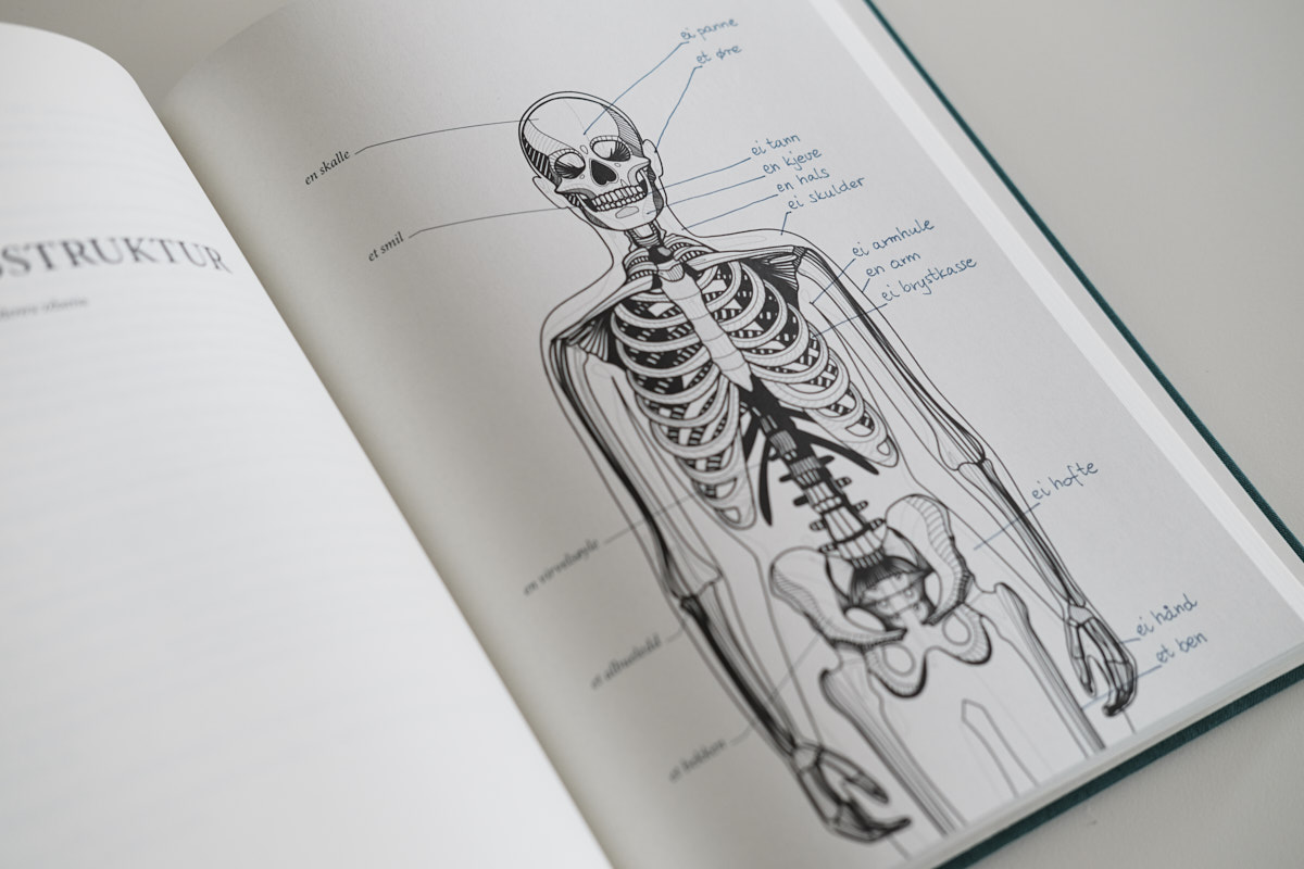 Anatomia norweskiego, podpisany szkielet 